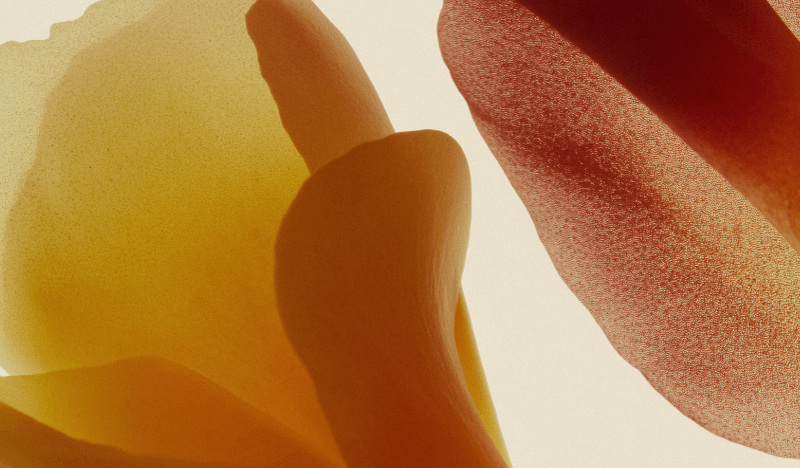What Does Natural Flavour Really Mean? - Nuzest NZ