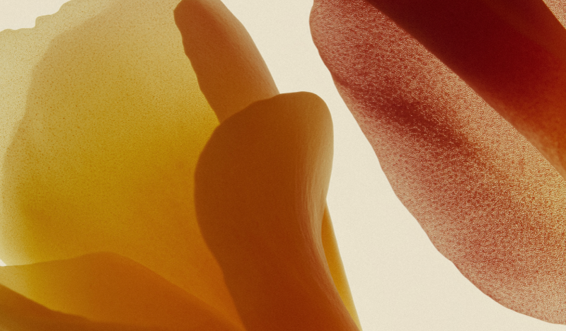 What Does Natural Flavour Really Mean?