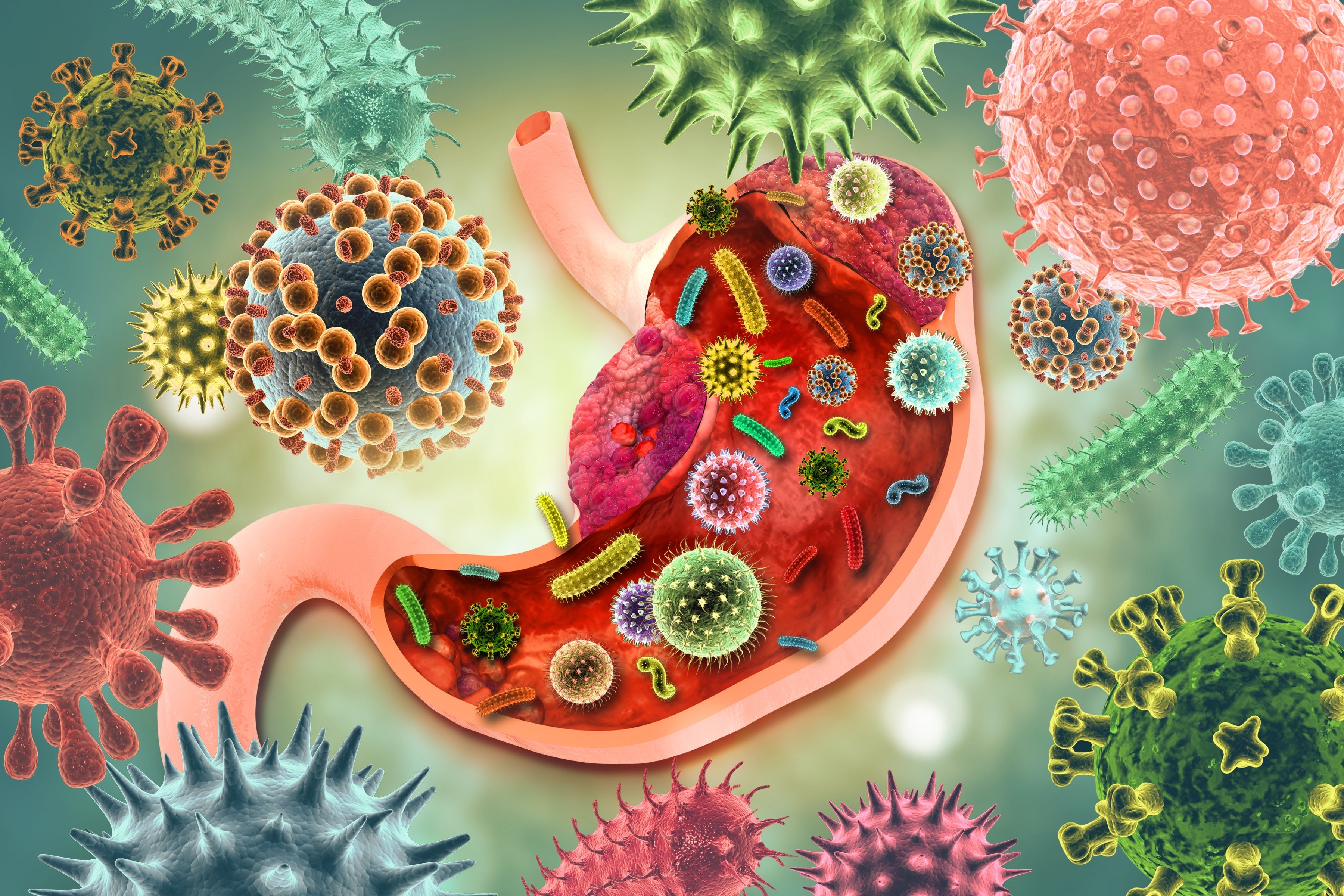 An Introduction to Gut Health & Nutrition – 5 Must See Articles