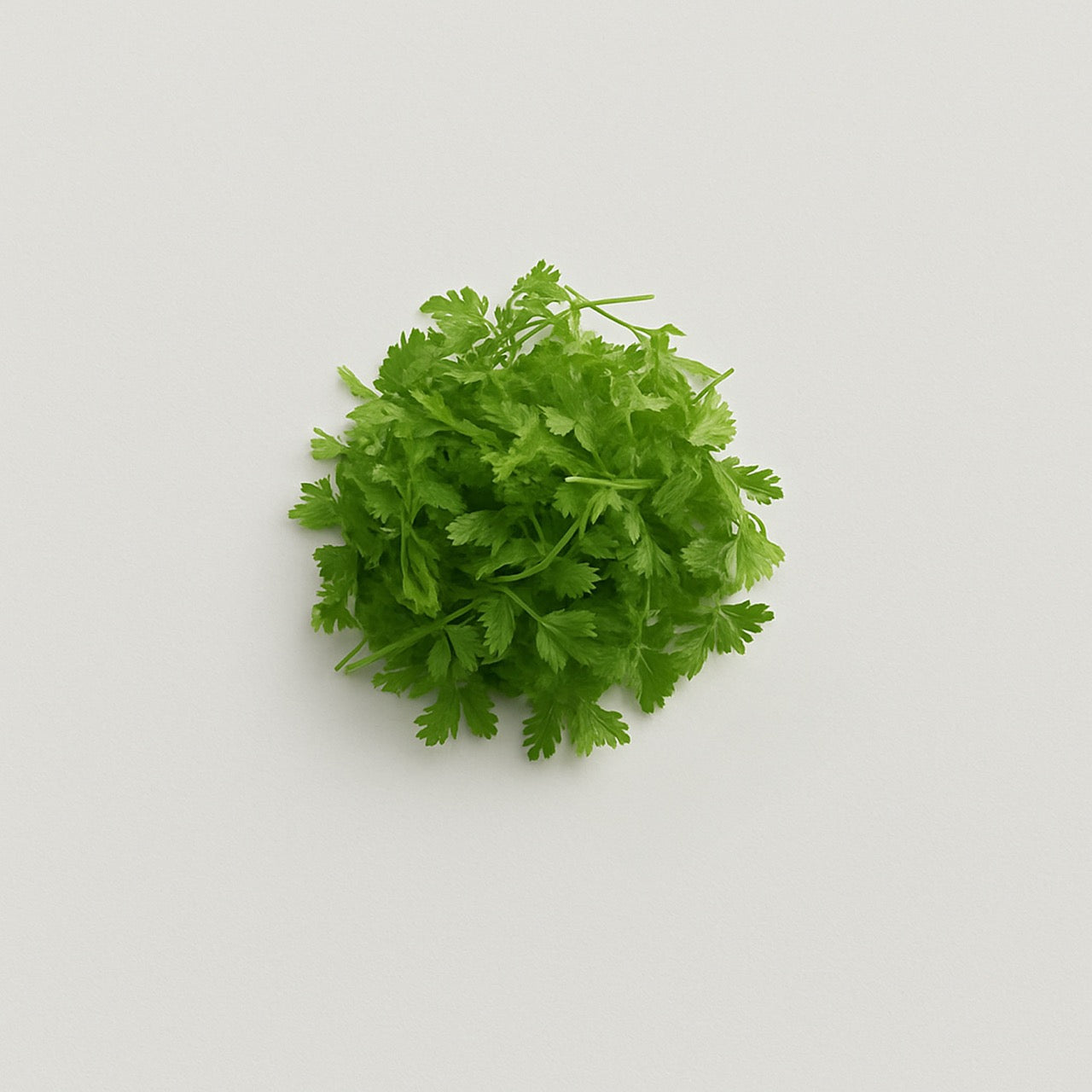 Nuzest ingredients - Chervil