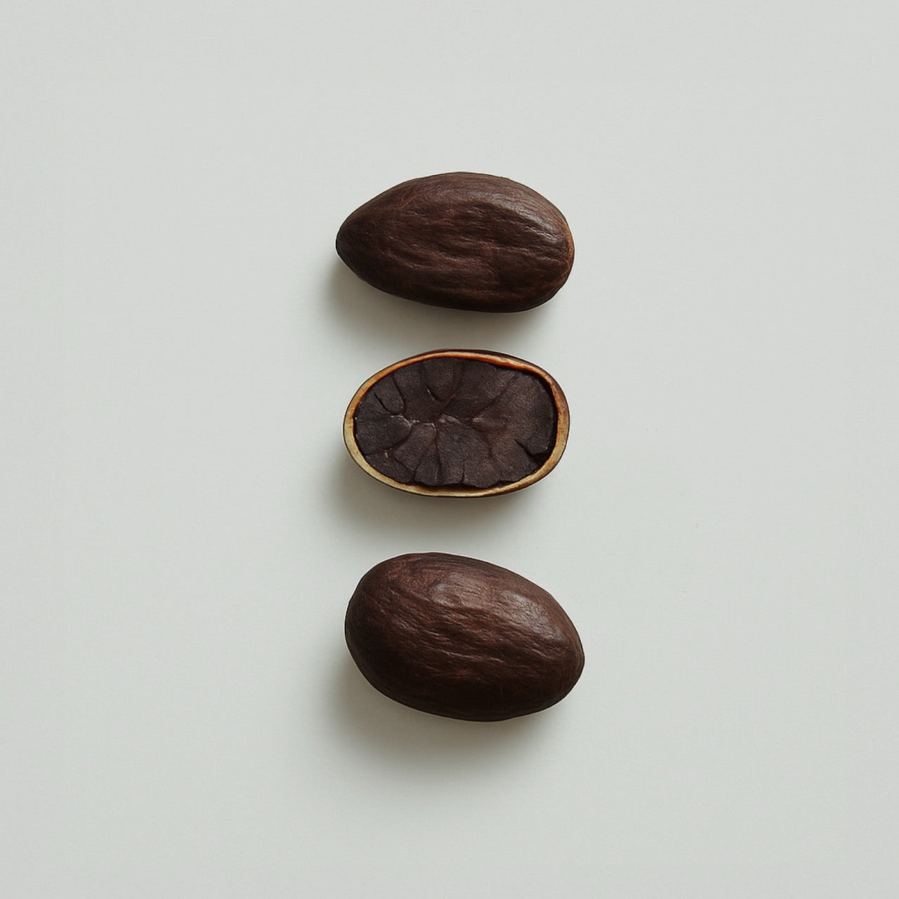Nuzest ingredients - Cocoa Bean Polyphenol