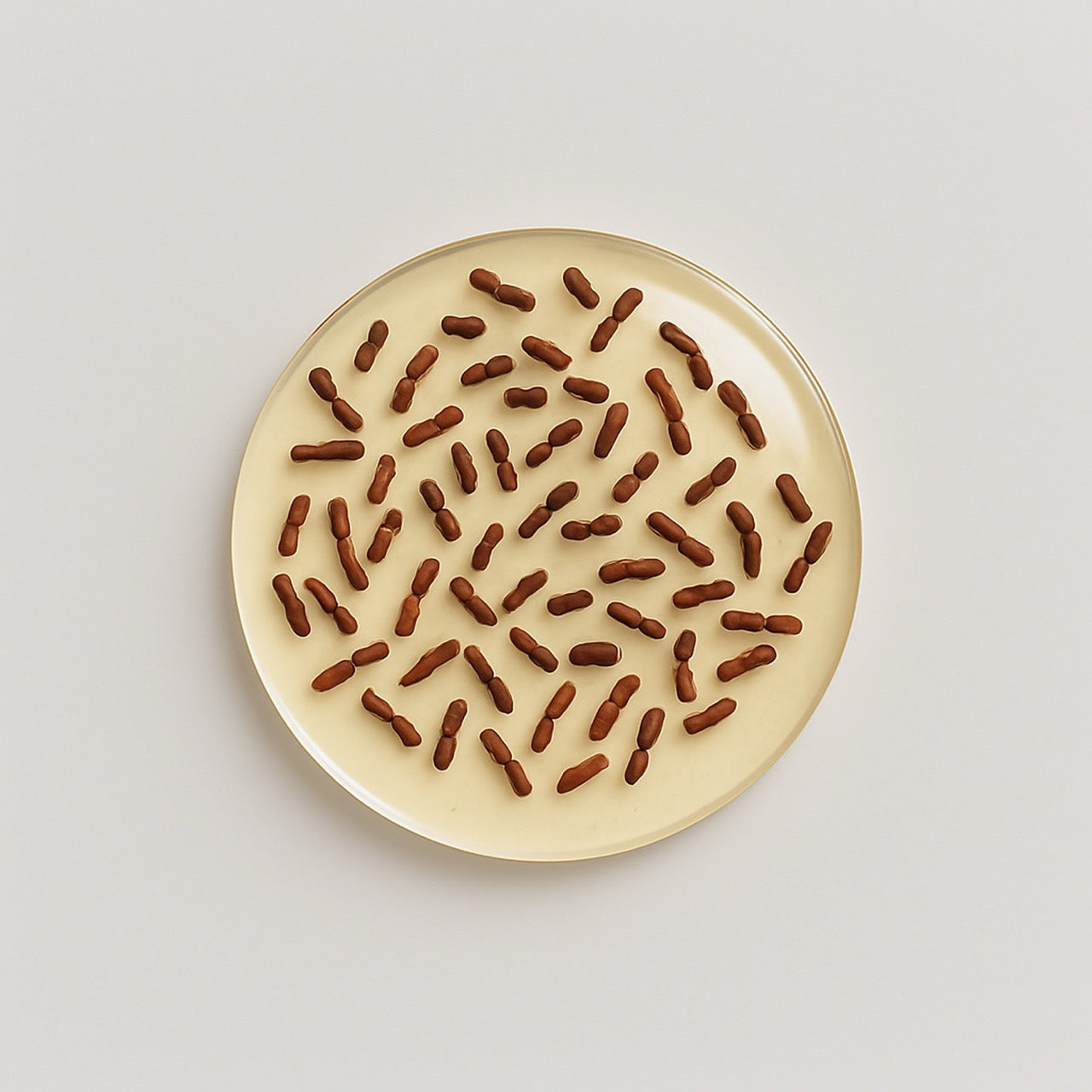 Nuzest ingredients - Lactobacillus rhamnosus