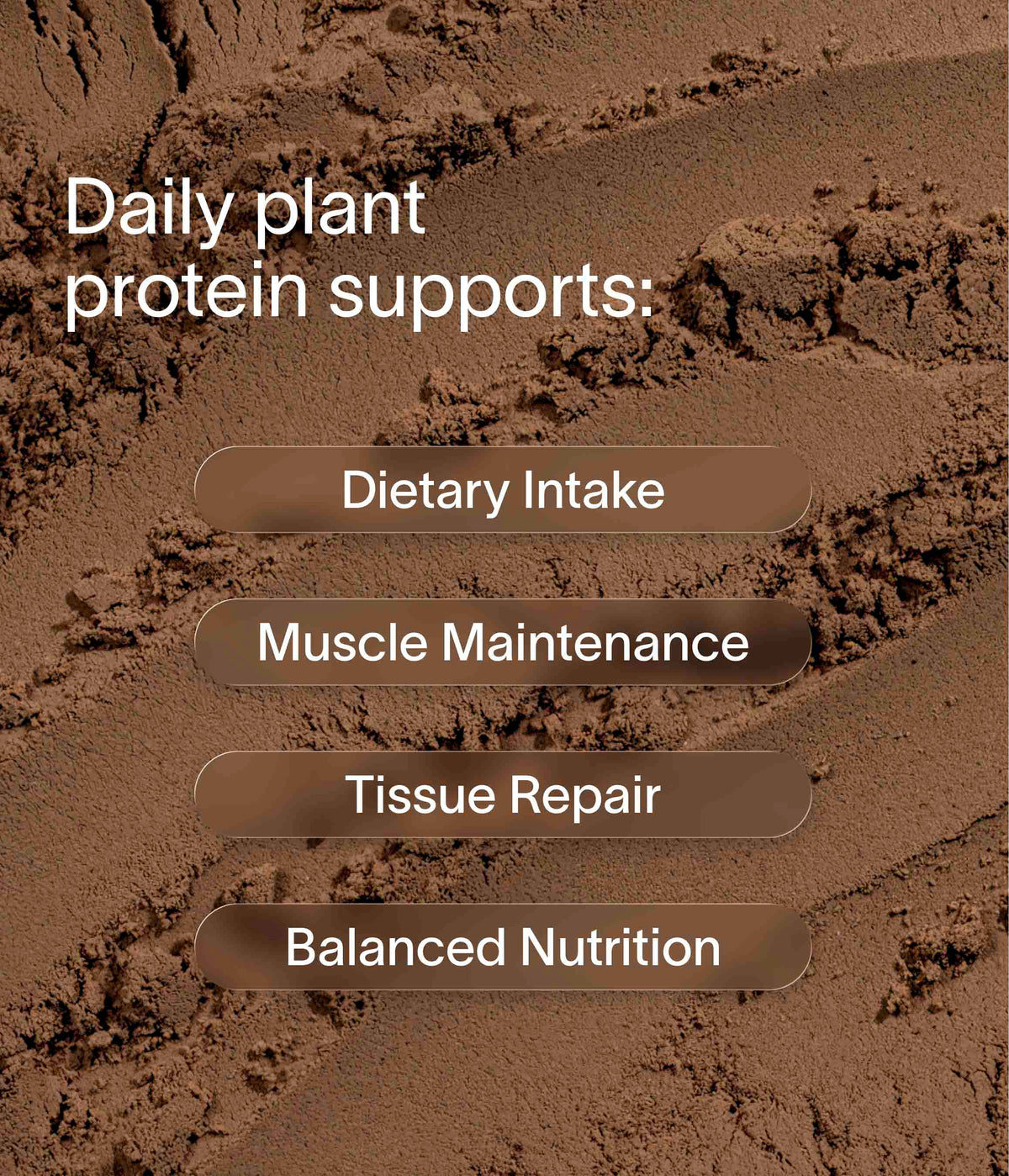 Nuzest - Clean Lean Protein Single Serves - Real Coffee Single 25g Sachet (1 Serving) 3