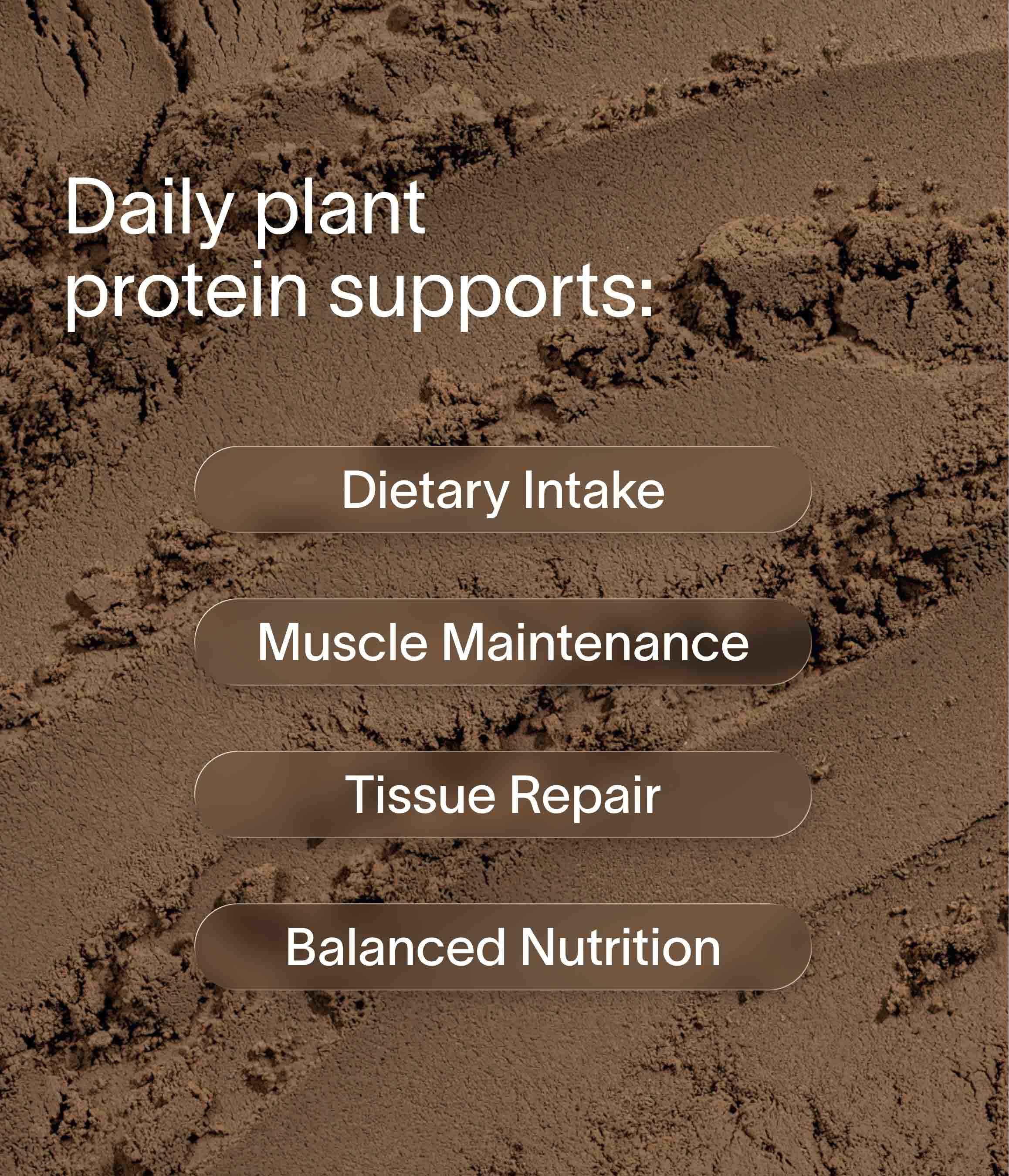 Nuzest - Clean Lean Protein Single Serves - Real Coffee Single 25g Sachet (1 Serving) 3